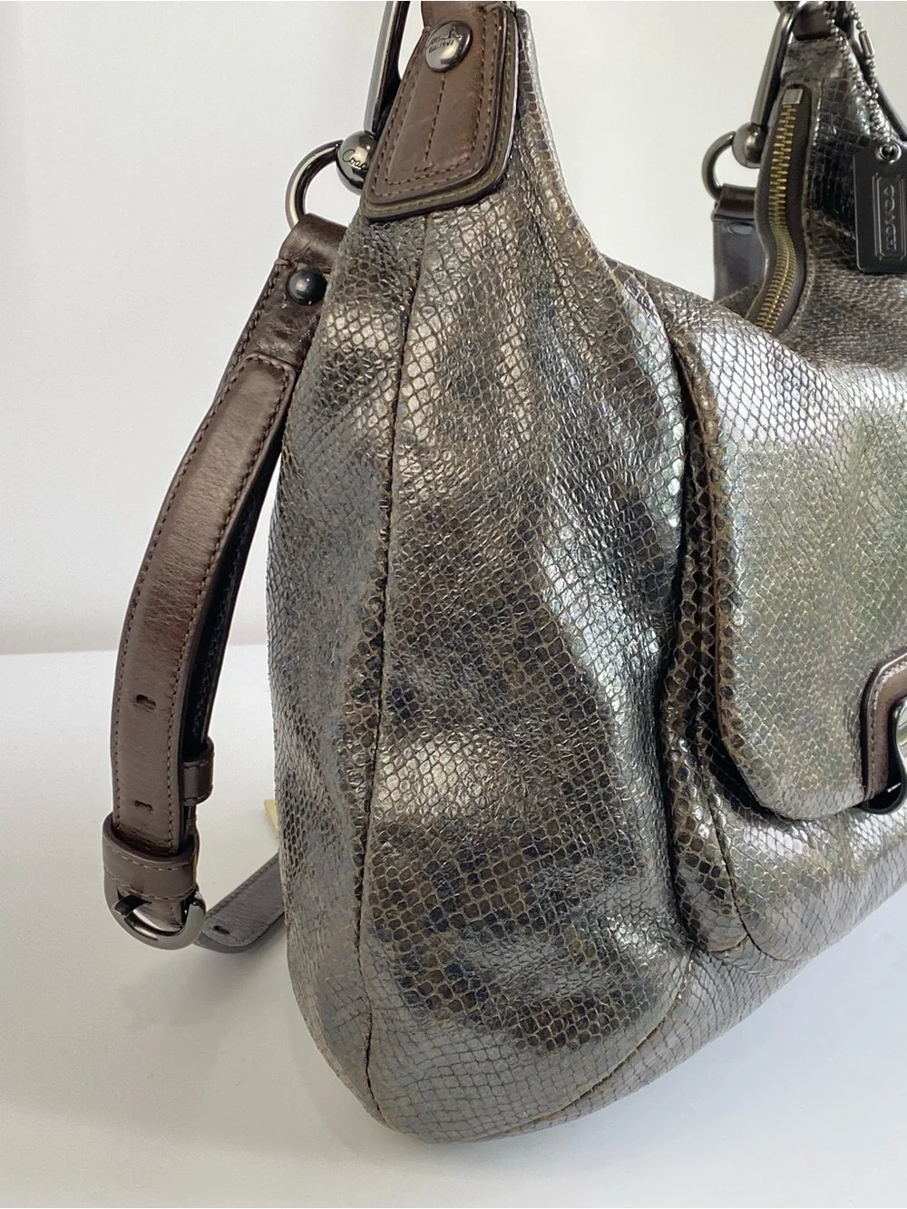 Coach python embossed